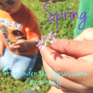 Spring reminds us that Jesus came back to Life