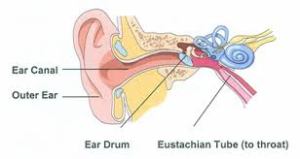 A retracted ear drum is often caused by the Eustachian Tube to the throat being closed. This is often caused by an upper respiratory infection or chronic allergies. 